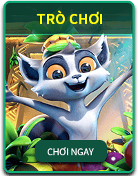 CWIN05 SẢNH SLOT